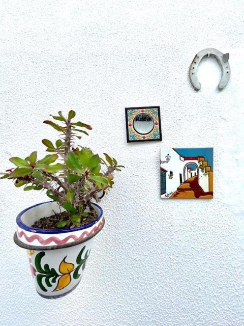 Gatu Premium Villa Patio Andaluz El Puerto de Santa Maria Luaran gambar